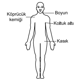 21.08.2026 Ehliyet DENEME SINAVI